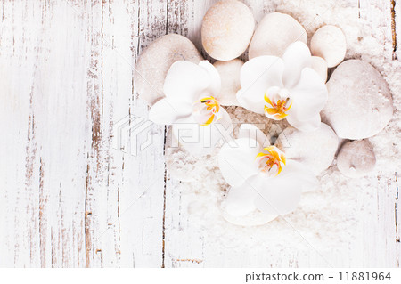 Orchid spa concept 11881964