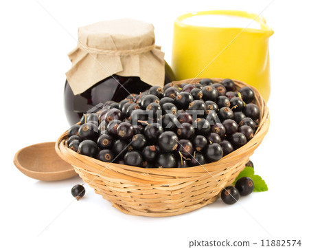 black currants on white 11882574