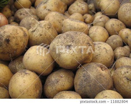 Kitaakari側身 11882804