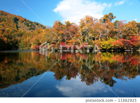 Autumn leaves reflected in Kami pond 11882925