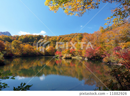 Autumn leaves reflected in Kami pond 11882926