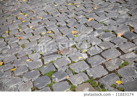 Gray granite stone pavement with autumnal leaves 11883174
