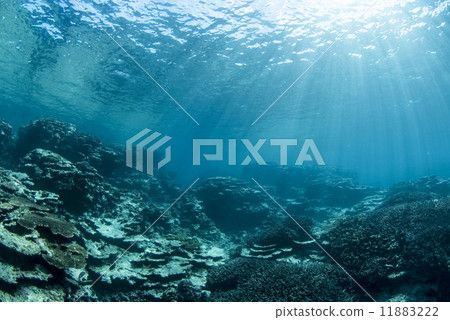 Light into the ocean floor 11883222