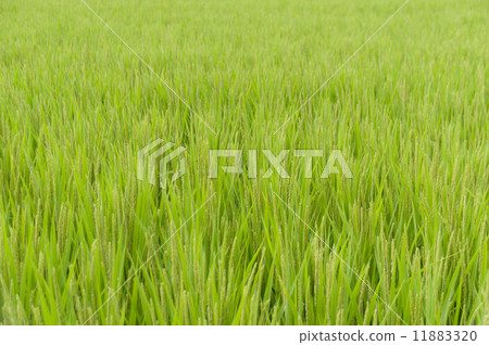 從標題開始 11883320