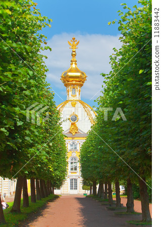 Russia, Petrodvorets-   Peterhof Palace 11883442