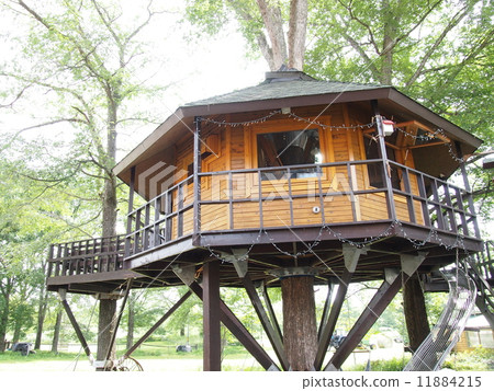 Dream house 11884215
