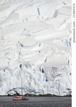 Antarctica - Beautiful Scenery 11884314