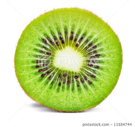 Kiwi Kiwi 11884744