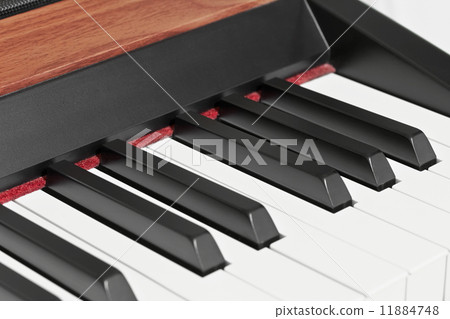 Piano keys 11884748