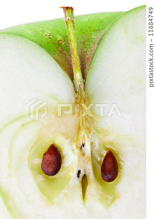 apple macro 11884749