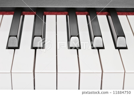Piano keys 11884750