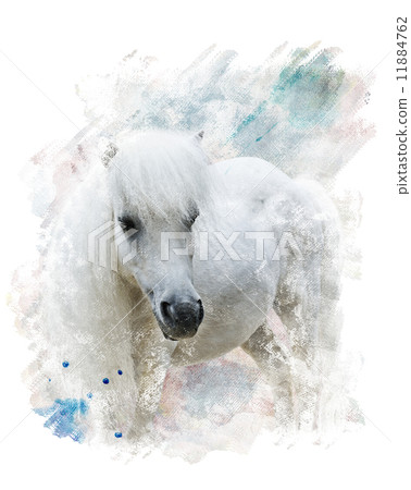 Watercolor Image Of White Pony Watercolor Image Of White Pony 11884762