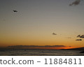 黃昏 海 大海 11884811