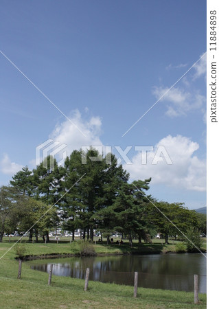 池塘和樹 11884898