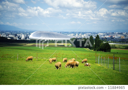 旅遊景點的綿羊是一座山觀測台 11884985