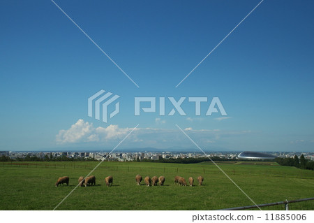 The sheep of the tourist attraction is a hill observatory The sheep of the tourist attraction is a hill observatory 11885006