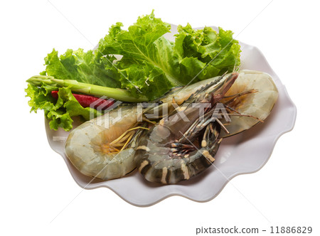 King and waterleg shrimps King and waterleg shrimps 11886829