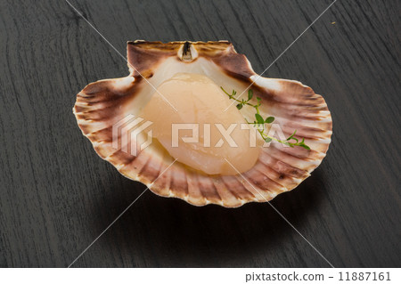 Raw scallops 11887161