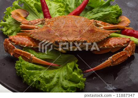 Boiled crab Boiled crab 11887347
