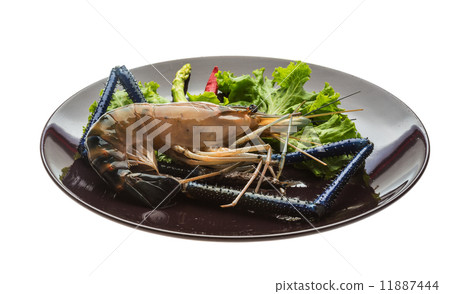 Freshwater prawn 11887444