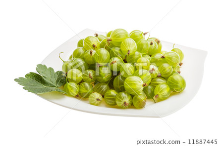 Gooseberries Gooseberries 11887445