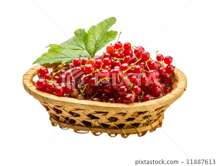 Red currant Red currant 11887613