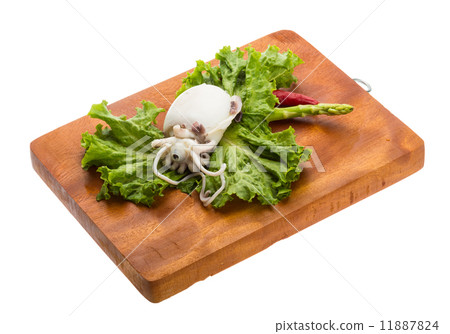 Boiled cuttlefish Boiled cuttlefish 11887824