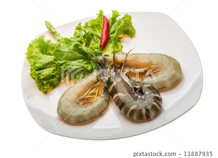 King and waterleg shrimps King and waterleg shrimps 11887935