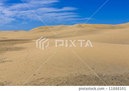 Maspalomas Duna - Desert in Canary island Gran Canaria Maspalomas Duna - Desert in Canary island Gran Canaria 11888101