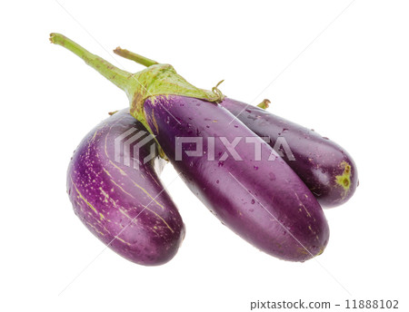 Eggplant 11888102