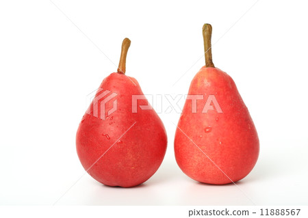 Pear  11888567