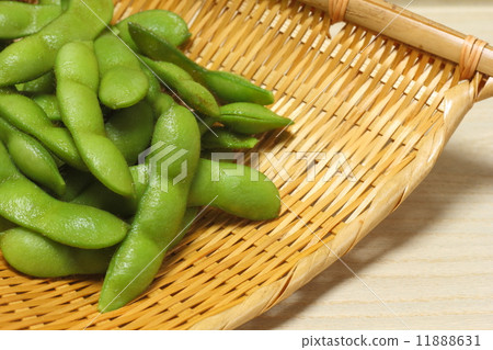 毛豆 毛豆 11888631