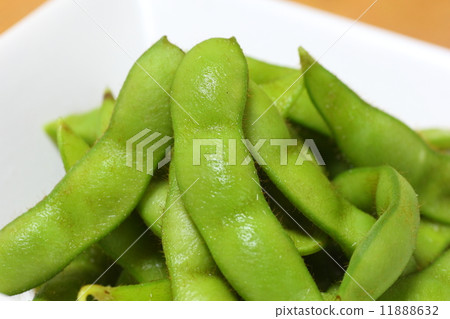 毛豆 毛豆 11888632