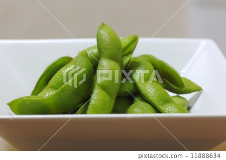 毛豆 11888634