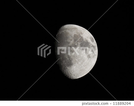 Gibbous moon 11889204