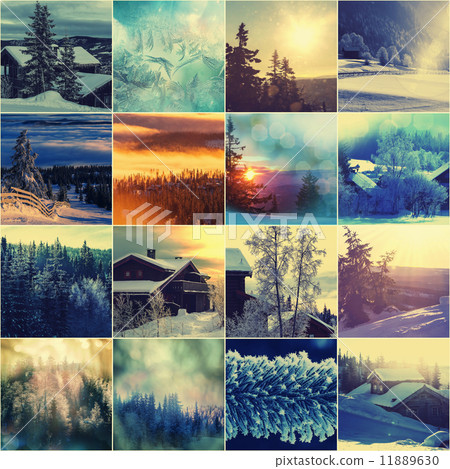Winter collage 11889630