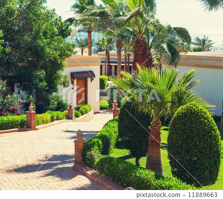 Garden 11889663