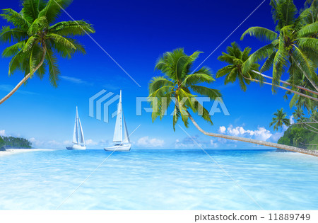 Sailboats on beach and palm tree Sailboats on beach and palm tree 11889749