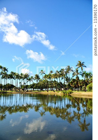 Holidays in Hawaii Holidays in Hawaii 11890170