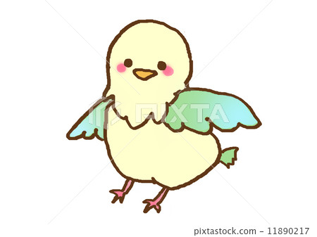 bird bird 11890217