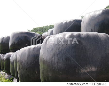 Country landscape 11890363