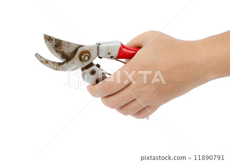 Garden Pruner in hand 11890791