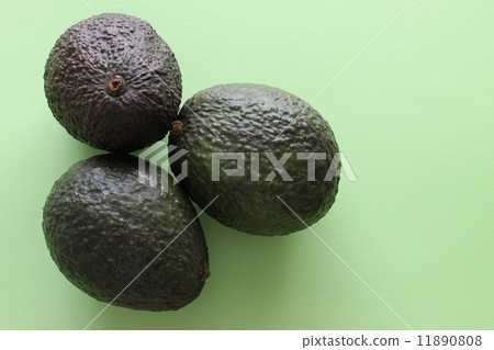 Avocado Avocado 11890808
