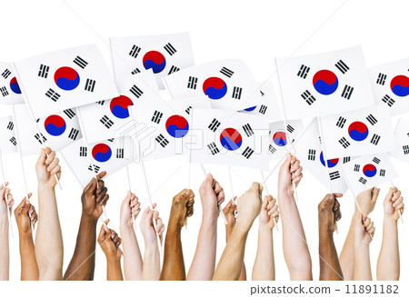 South Korean Flag 11891182
