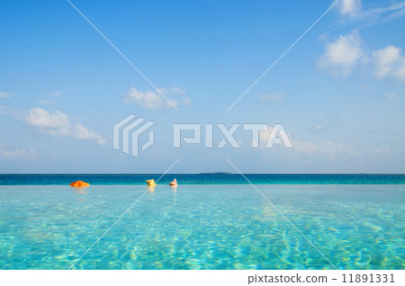 Infinity Pool in Maldives 11891331