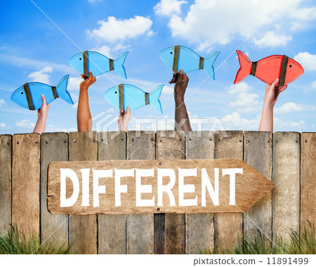 School of Fish and Wooden Signboard with Different Concept School of Fish and Wooden Signboard with Different Concept 11891499