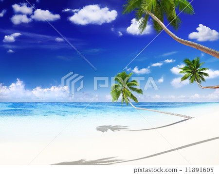 Beach Beach 11891605