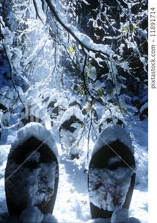 Angels Covered In Snow 11891714