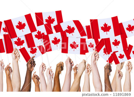 Canadian Flag 11891869