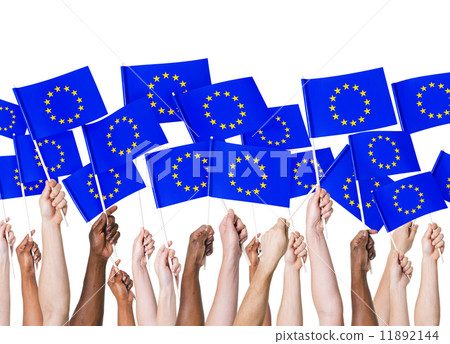 EU Flag 11892144
